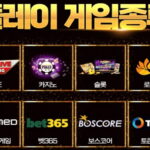 스포츠 베팅 플랫폼: 한국에서 놓치지 말아야 할 선택