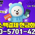 소액결제 정책: 당신도 몰랐던