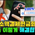 소액결제 정책으로 스마트하게 돈 뽑는 법, 몰래 쓰는 꿀팁 대공개