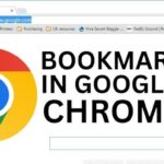 클릭 한 번으로 웹 세상 정복! 당신만 몰랐던 링크모아 사용법